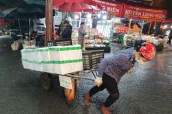 Phận người gánh cả đêm đông