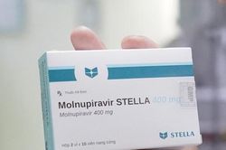 Mua thuốc Molnupiravir cần điều kiện gì?