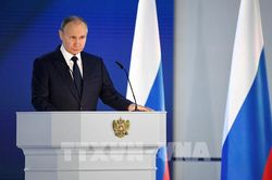 Tổng thống V.Putin: Nga không có kế hoạch chiếm đóng lãnh thổ Ukraine