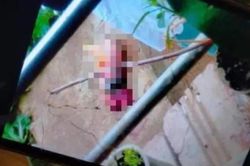 Phát hiện thai nhi của nữ sinh lớp 11 bị bỏ trong trường học