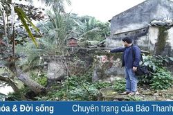 Bờ tả sông Hoàng sạt lở nghiêm trọng