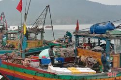 Ngư dân Hà Tĩnh tranh thủ vươn khơi những ngày biển ấm