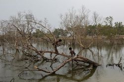 Những điểm chính trong báo cáo của IPCC về tác động của biến đổi khí hậu và sự thích ứng