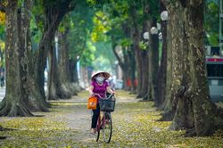 'Phố Sấu' Hà Nội