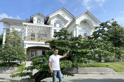 Cây đào tiên dáng rồng đạt kỷ lục Việt Nam