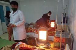 Khuyên bạn không được, học sinh lớp 8 cùng ăn lá ngón quyên sinh