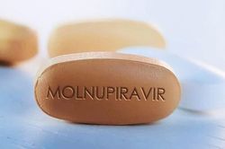 WHO khuyến cáo không nên dùng Molnupiravir cho tất cả mọi người