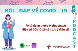 Hỏi đáp COVID-19: F0 sử dụng thuốc Molnupiravir cần lưu ý điều gì?