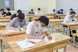 Hơn 4.600 thí sinh dự kỳ thi chọn học sinh giỏi quốc gia