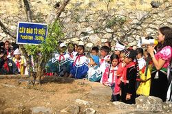 Hoạt động và cống hiến của đồng chí Tô Hiệu tại Chi bộ đảng Nhà tù Sơn La