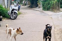 Bạn đọc Bạn đọc viết Mối nguy hiểm khôn lường