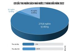 Thu ngân sách 2 tháng ước đạt hơn 323 nghìn tỷ đồng