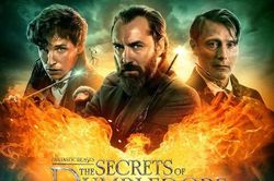 'Fantastic Beasts 3' và sinh vật huyền bí mới: Phượng hoàng, Quái Tôm Đuôi Nổ và gì nữa?