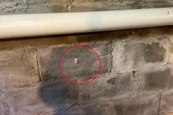 Vừa vào nhà mới, cô gái đã được khuyên dọn đi ngay vì phát hiện thứ trên tường