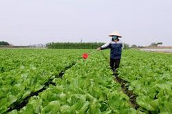 Xăng dầu tăng giá, làng nghề, hợp tác xã nông nghiệp 'khó chồng khó'