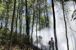 Tây Nguyên và Nam bộ có nguy cơ cháy rừng vì nắng nóng