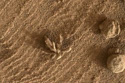 Tàu NASA phát hiện vật lạ trên sao Hỏa, chuyên gia lập tức lý giải