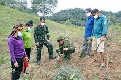 Hỗ trợ đồng bào chuyển đổi cây trồng, vật nuôi