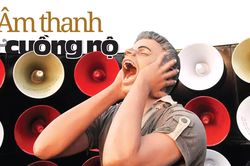 Âm thanh và cuồng nộ