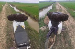 Để xe giữa đồng bị 'kẻ lạ chiếm', cầu cứu dân mạng thì được hiến kế càng tức hơn