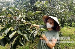 Văn Lãng: Tập trung phát triển cây ăn quả theo hướng an toànTin khácBản lĩnh của người phụ nữ ViệtThông báo nội dung kỳ họp thứ tám (kỳ họp chuyên đề) HĐND tỉnh khóa XVII, nhiệm kỳ 2021- 2026