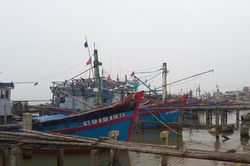 Giá nhiên liệu tăng, ngư dân vẫn vươn khơi dù... sẽ lỗ