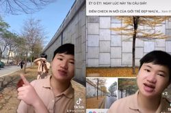Mải 'check-in' con đường lá vàng ở Hà Nội, thanh niên 'số nhọ' bị kẻ gian lấy mất xe máy