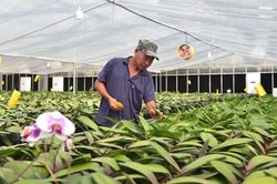 Hà Nội: Chuyện từ những nông trại công nghệ cao đầu tư tiền 'khủng'