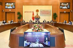 Bảo đảm tiến độ, chất lượng, hiệu quả trong công tác quy hoạch