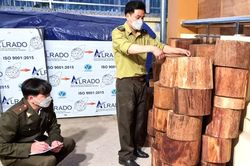 Hà Giang: Phát hiện 46 khúc gỗ nghiến đang giấu ở bìa rừng