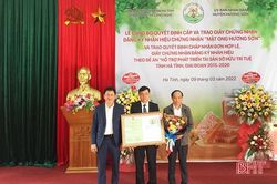 Mật ong Hương Sơn chính thức có giấy chứng nhận nhãn hiệu