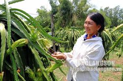 Hữu Lũng: Vốn chính sách giúp hộ nghèo vươn lênTin khácSẵn sàng các điều kiện đón khách du lịch quốc tếBản lĩnh của người phụ nữ Việt