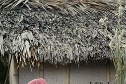 Ký ức Việt Nam (Kỳ 8): Hầu đồng – tín ngưỡng Mẹ của người phụ nữ An Nam