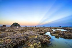 Hòn Yến - Thiên đường san hô trên cạn