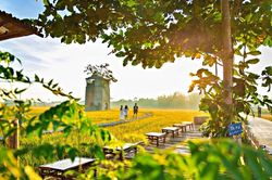 Loạt quán cà phê nằm trơ trọi giữa đồng, khách nườm nượp xếp hàng chờ 'phơi nắng'
