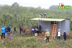 Đắk Nông: Xử lý nghiêm các trường hợp lấn chiếm đất rừng ven Quốc lộ 28