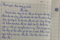Xuất hiện bài văn TẢ MẸ khiến các bà vợ chia sẻ như vũ bão, bố đọc xong run cầm cập: Mất mặt trụ cột gia đình quá!