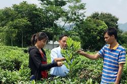Tạo chuyển biến cho nông sản từ ứng dụng khoa học-công nghệ