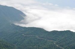 Bạch Mã - Cung đường du lịch xanh
