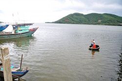 Kinh tế Nông nghiệp - Nông thôn Phục hồi và tái tạo rạn san hô trên vùng biển Phú Lộc