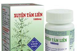 Nhiều bệnh viện thử nghiệm thuốc Xuyên Tâm Liên trong điều trị COVID-19