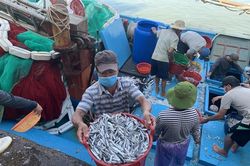 Lao đao vì giá xăng dầu tăng