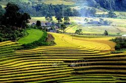Tuần Du lịch - Văn hóa Lai Châu diễn ra từ ngày 14-17/4