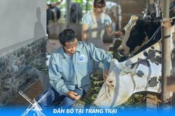 Bí quyết thành công của Cô Gái Hà Lan tại Việt Nam