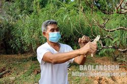 Các cấp hội nông dân thành phố Lạng Sơn: Phát huy hiệu quả nguồn vốn chính sáchTin khácGhi dấu màu áo xanh tuổi trẻSẵn sàng các điều kiện đón khách du lịch quốc tế