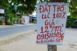 Ông Trần Hồng Hà: Cần có quy định chặt chẽ và chế tài khi đấu giá đất