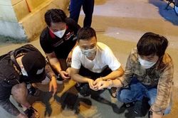 Bắt giữ người đưa lên ôtô ngay giữa phố