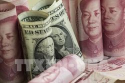 Đồng NDT kỹ thuật số sẽ thách thức vị thế đồng USD?