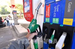EU hỗ trợ giảm thiểu thiệt hại do giá nhiên liệu tăng vọt