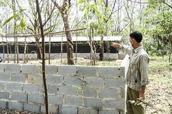 Xây dựng công trình, trồng cây trái phép nhằm đòi bồi thường từ Dự án đường bộ cao tốc Bắc - Nam giai đoạn II